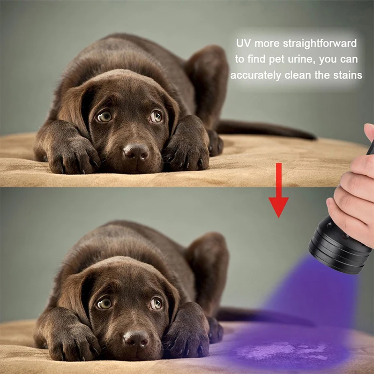 51led ultraviolet blacklight