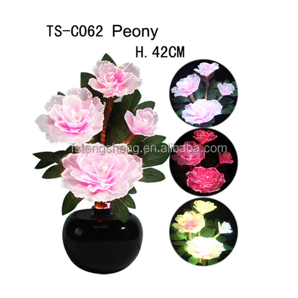 TS-C062 LED PEONY.jpg