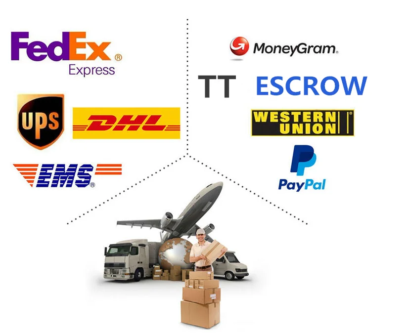 Shipping & Payment.png