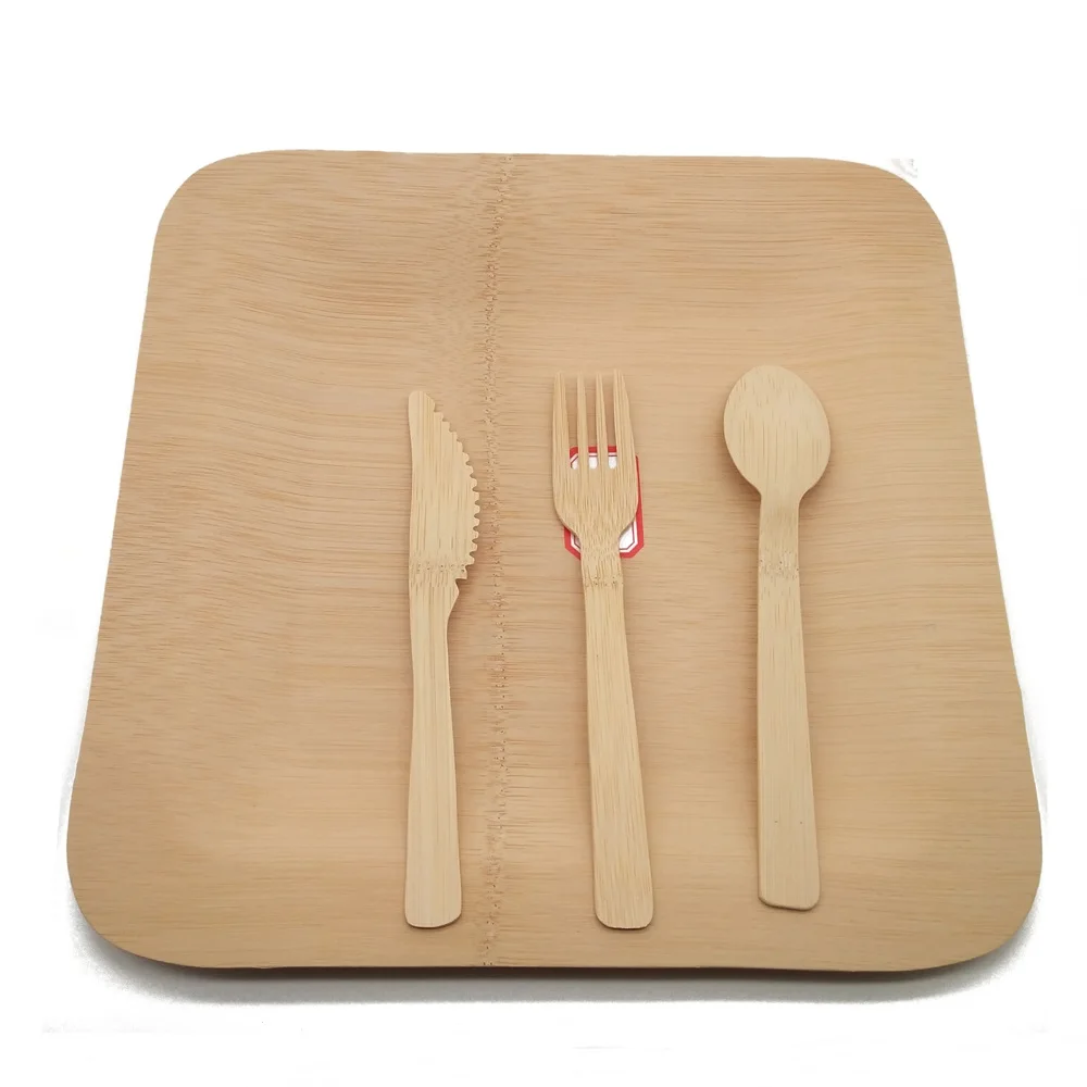Eco Friendly Disposable Natural Bamboo Plates For Party Buy Eco