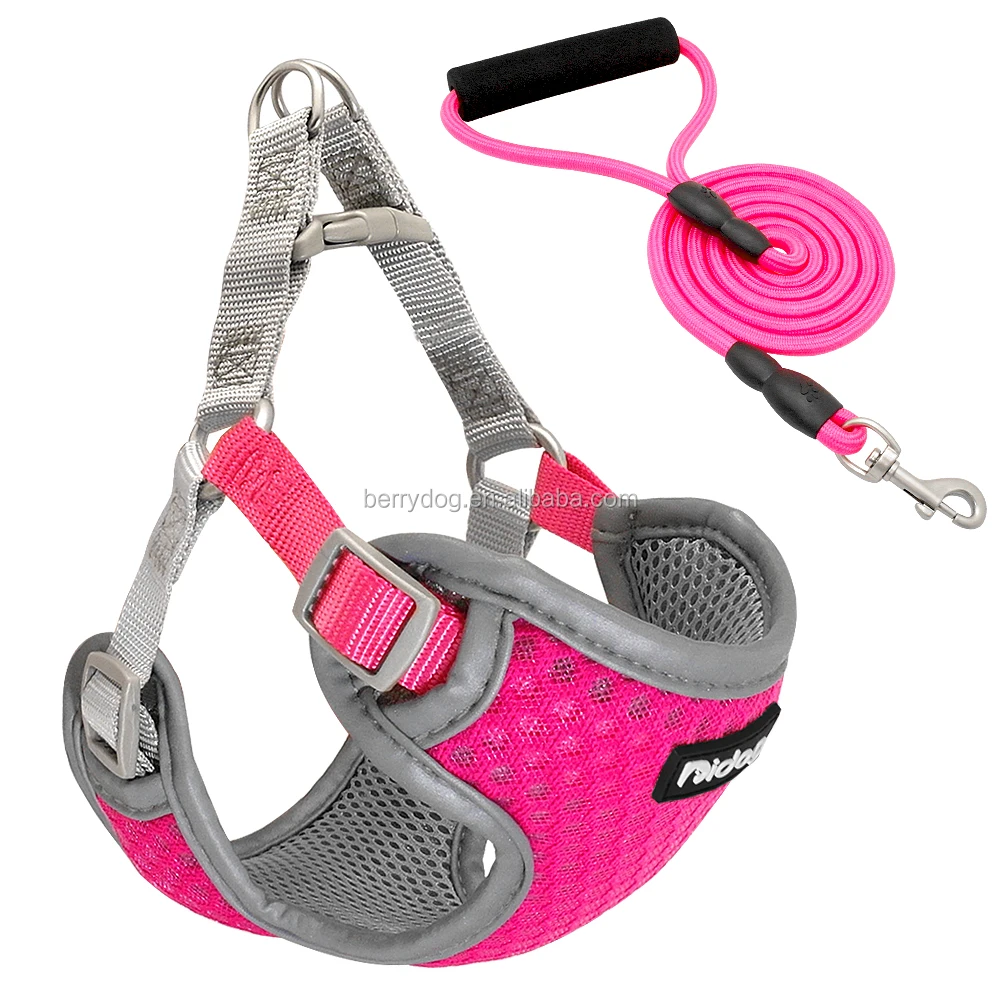 Didog Breathable Mesh Dog Body Harness Set For Puppy Dogs Pets Buy