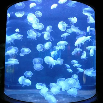 pg large custom unique acrylic aquaponics fish tank - buy