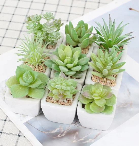 

Artificial succulent plant high grade artificiaL succulent in white pot for desk dexoration