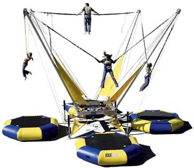 bungy