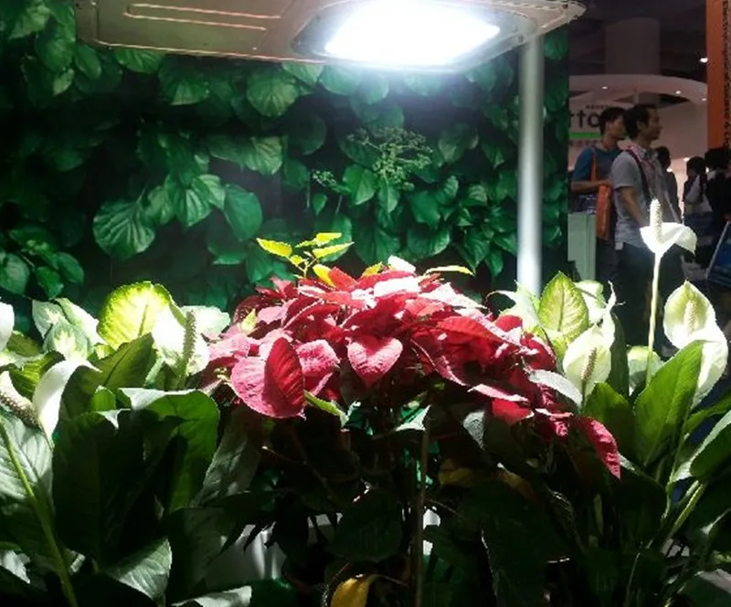 Induction Grow Light