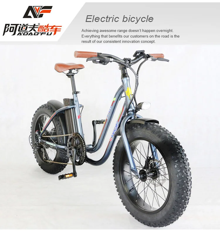 electric bike for long distance