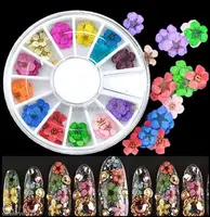 

Queenfingers NDF-07 Wholesale 12 Color 3D Nail Art Decals With Cheap Price Natural Dry Dried Flower for Nail Art Decoration