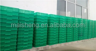 hydroponic fodder system