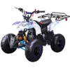 Electric start Chinese single -cylinder Gasoline ATV Quad