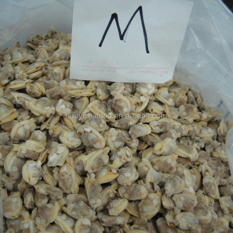 
wholesale short necked clam low price for long-term cooperation 
