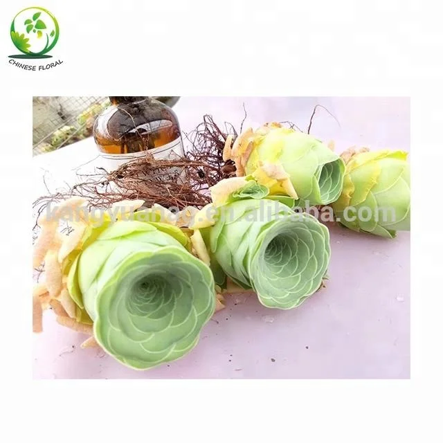 
Good shape Greenovia aurea Tenerife 5cm 