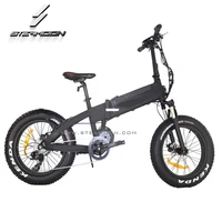 

Eagle in wind 20 inch folding electric bike lithium battery foldable electric bicycle ebike with mid drive motor