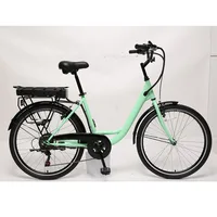 

Steel street electric bike holland city ebike