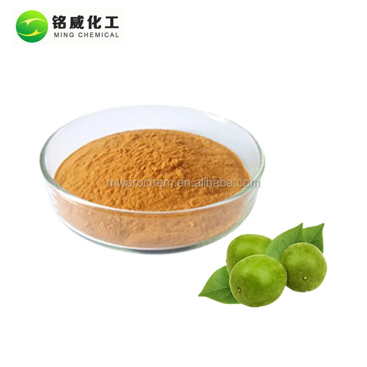 Organic Natural Sweetener Mogrosides 80% Mogroside V 20% Luo Han Guo Extract Powder .jpg