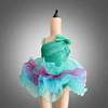 DL041 green ballet tutu Child ballet dress, green sequin Ballerina Dress, waving skirt tutu wholesale kids costumes for dance
