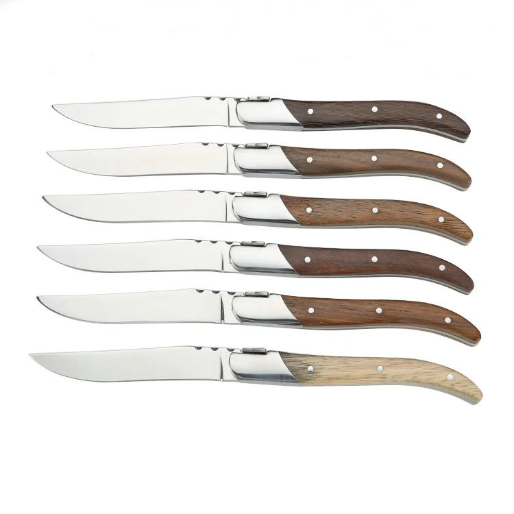 

High Quality Stainless Steel Mirror Polished Dinner Knifes laguiole steak knife of 6 pcs set