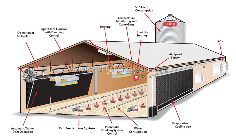 Aliabab china U-BEST chicken farm in Namibia and poultry broiler farm design construction for chicken