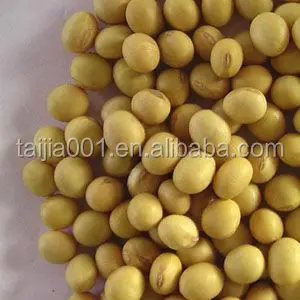 
soyabean meal for animal feed 