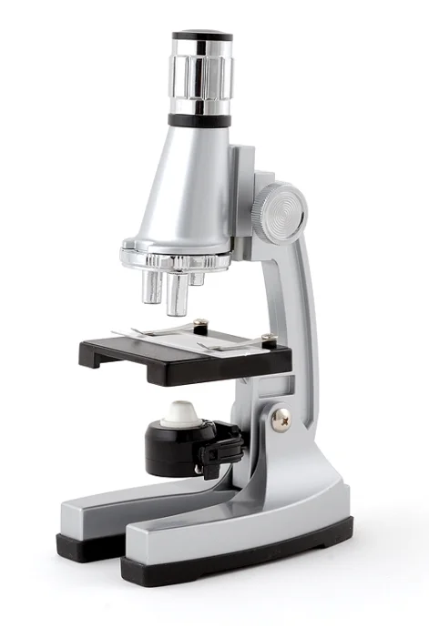 paste-pic-dp_uuid_1hzi9