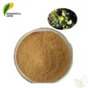 Usda organic monnieri Bacopaside extract Monniera Bacosides powder brahmi bacopa monnieri