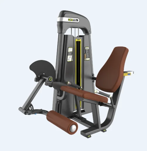 

Professional Strength Gym Exercise Leg Extension Machine