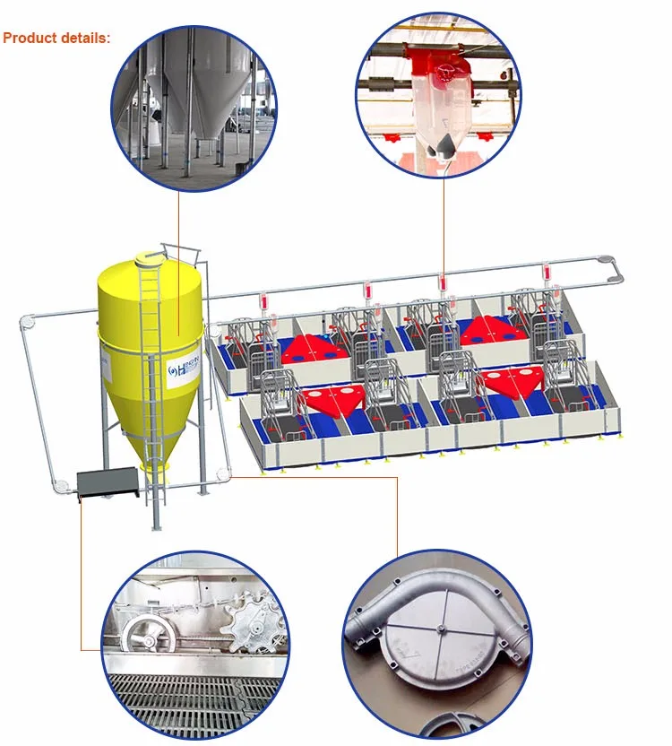 Pig Feeding Equipment Automatic Animal Feeding System Buy Pig Equipment,Automatic Animal
