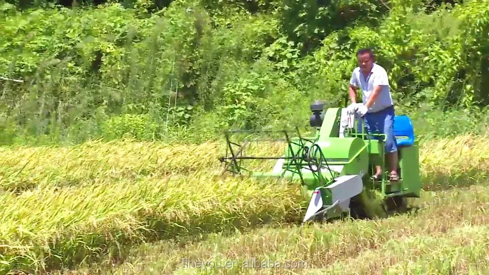 rice harvester