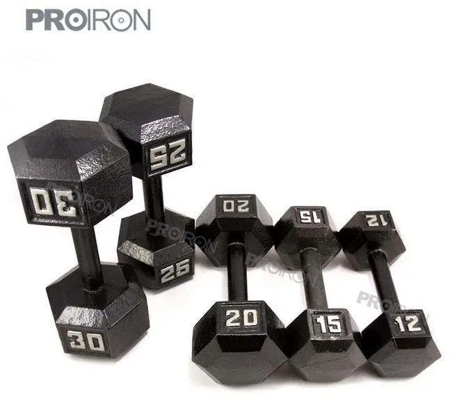 Wholesale Weightlifting Gray Fixed Cast Iron Hex Dumbbell Buy Cast