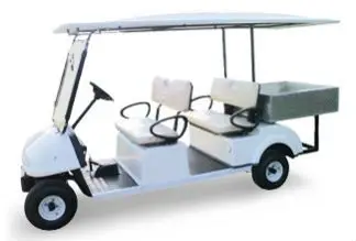 electric buggy price