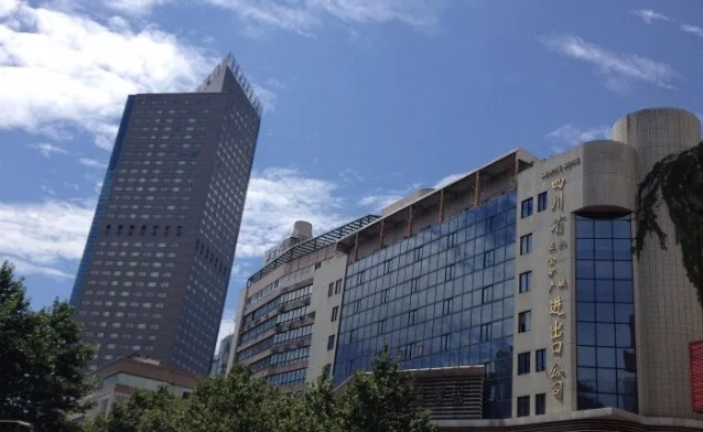 Sinde Channel Vacuum Pump Ring Air Blower