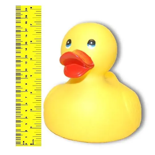 rubber duck size