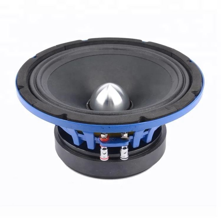 10 inch midbass speakers