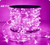 hot-sale 100m 12v christmas light string 666 led IP67 for neon flex
