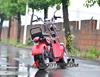 /product-detail/eec-epa-dot-approved-gas-motor-scooter-equipped-with-4-stoke-50cc-engine-wzms0508eec-epa-395378221.html