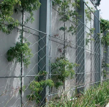 Ss304 Ss316 Metal Climbing Plant Support Mesh Ss304 Ss316 Metal Climbing Plant Support Mesh