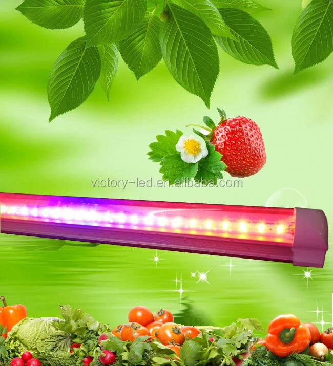 greenhouse tent plant lighting G13 Integrated T8 led grow light tube red blue color