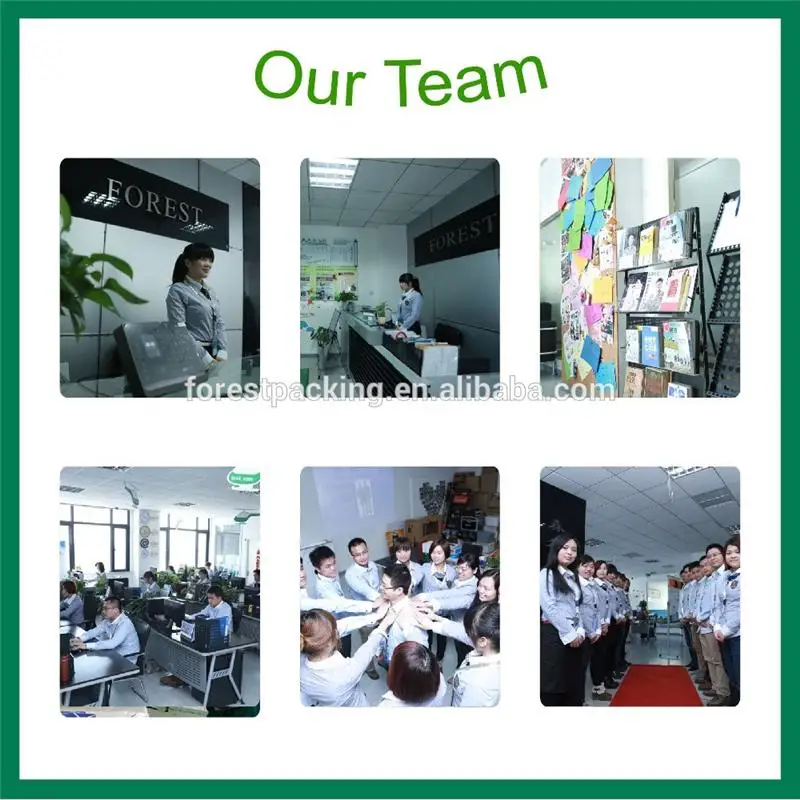 our team