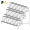Factory offer Half A layer chicken cage for Philippines market