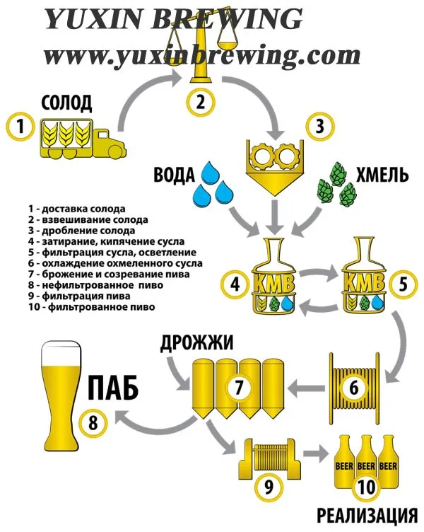 Этапы пивоварения схема