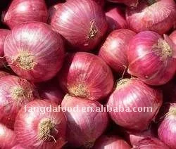 3e7eelowest-price-fresh-red-onion.jpg_250x250