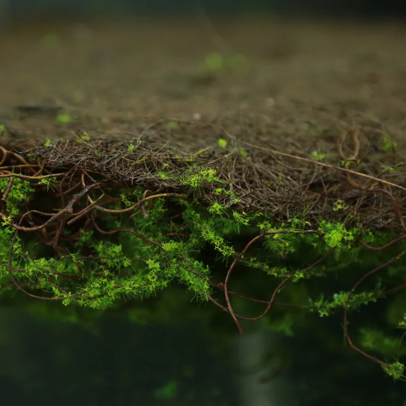 
Hot Selling Customized Free Style Fake Green Plant Wall Artificial Moss Wall Panel with Single Plants for Indoor Decoration 