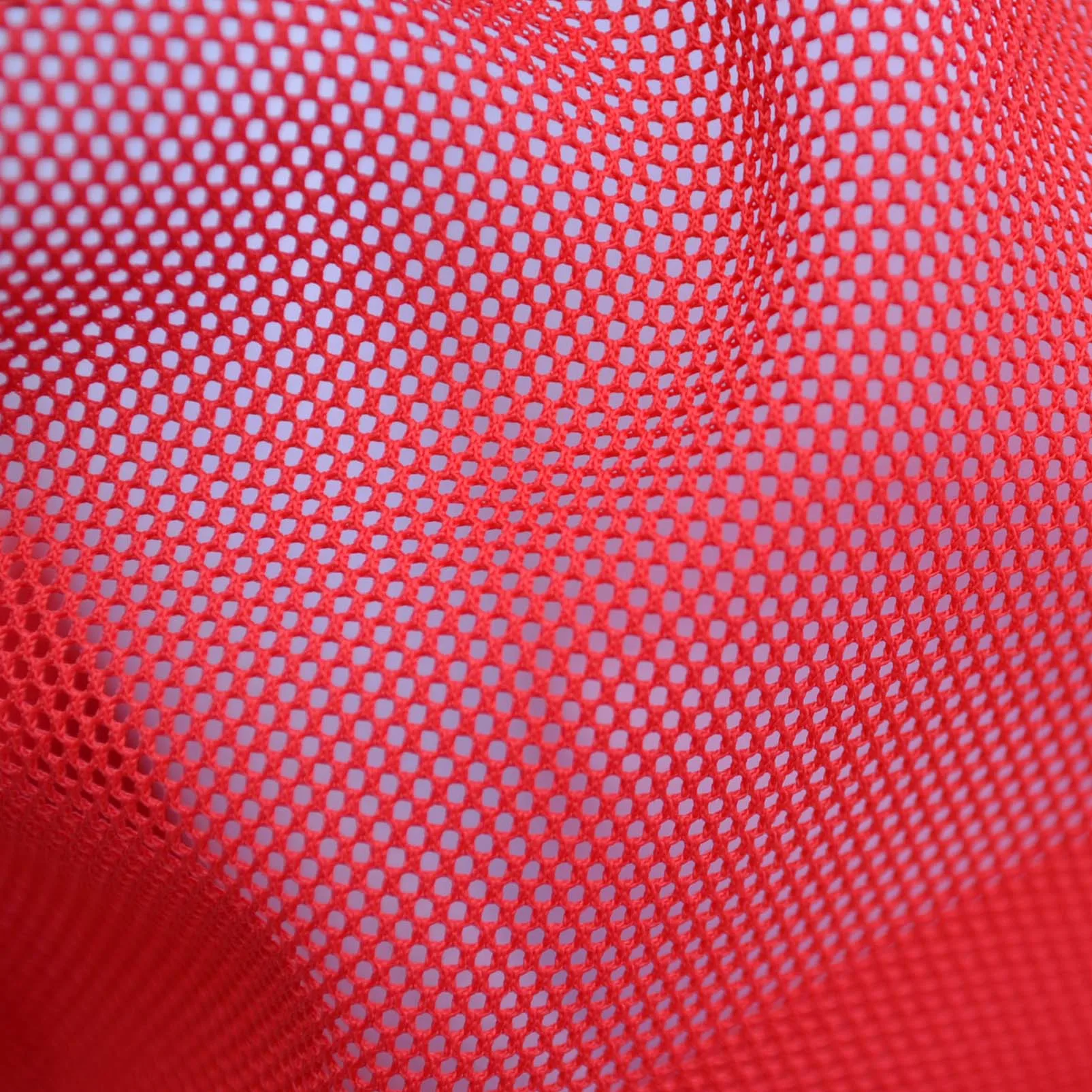 DSC_1003.jpg