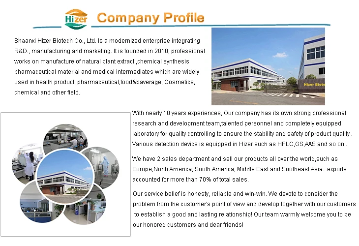 Company profile