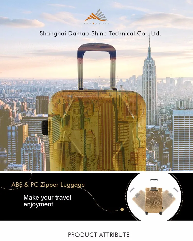 airport scooter bag
