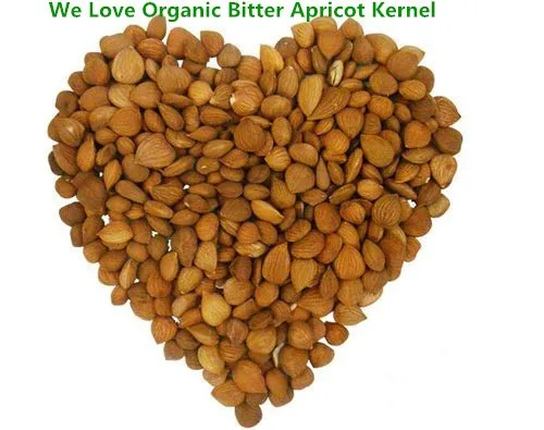 
Bulk Organic Chinese Bitter Apricot Seeds Supplier for cancer treatment with high B17 