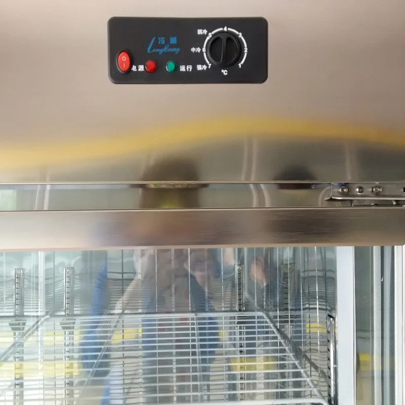 Restaurant Equipment Commercial Upright Freezer Stainless Steel Deep