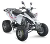 J 300cc ATV QUAD With EEC OFF ROAD T