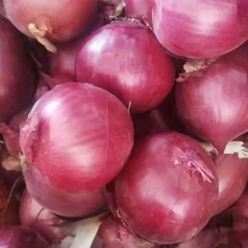 
Fresh Red Onion 