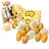 fruit mango packing corrugated boxes