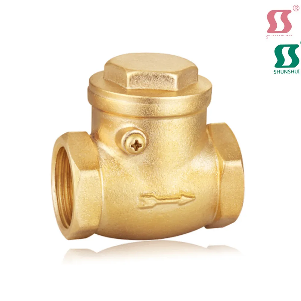 water pump check valve